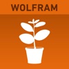 Wolfram Plants Reference App