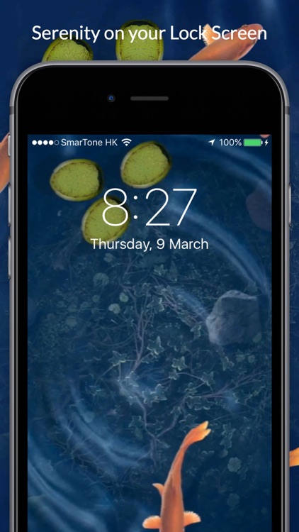 Koi Pond Live Wallpapers