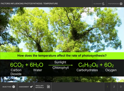 Factors Influencing Photosynthesis: Temperature screenshot 2