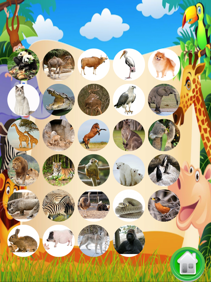 Kids English Vocabulary Free