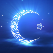 Сонник - Исламская книга сновидений