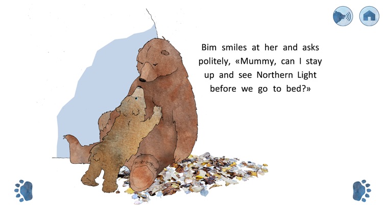 Bim's Northern Light Dream