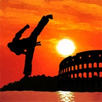 태권히어로 배틀아레나 PC 용