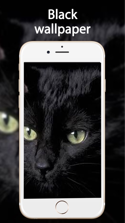 Amazing Black Wallpapers HD screenshot-3