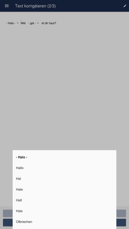 Spellchecker.lu screenshot-4