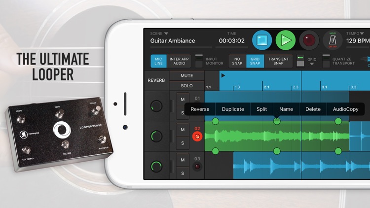 Looperverse – Multitrack Loop Recorder screenshot-0