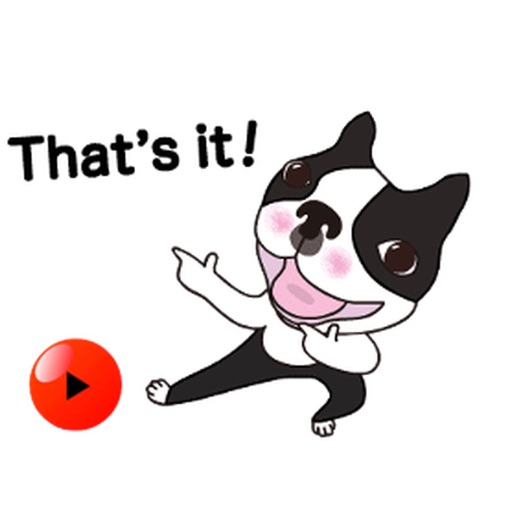 Animated Funny Boston Terrier Sticker