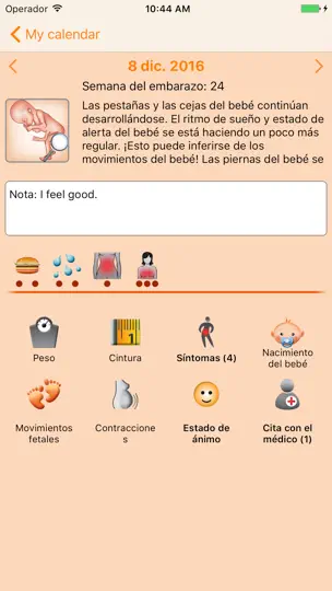 Captura de pantalla de WomanLog Pregnancy Pro en iPhone 2