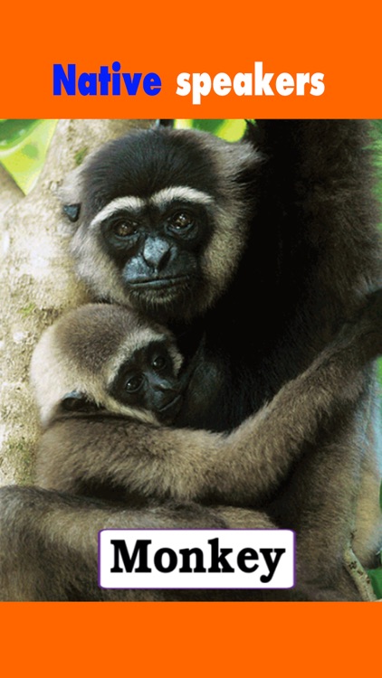 Educational animal for toddler learn abc games screenshot-3