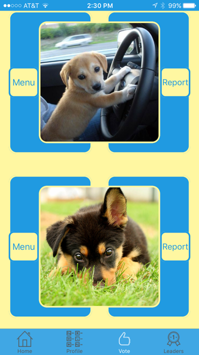 Screenshot #3 pour Pet Pageant