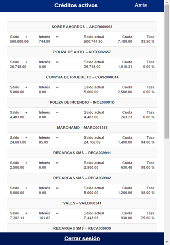 ASEVMWARE screenshot 3