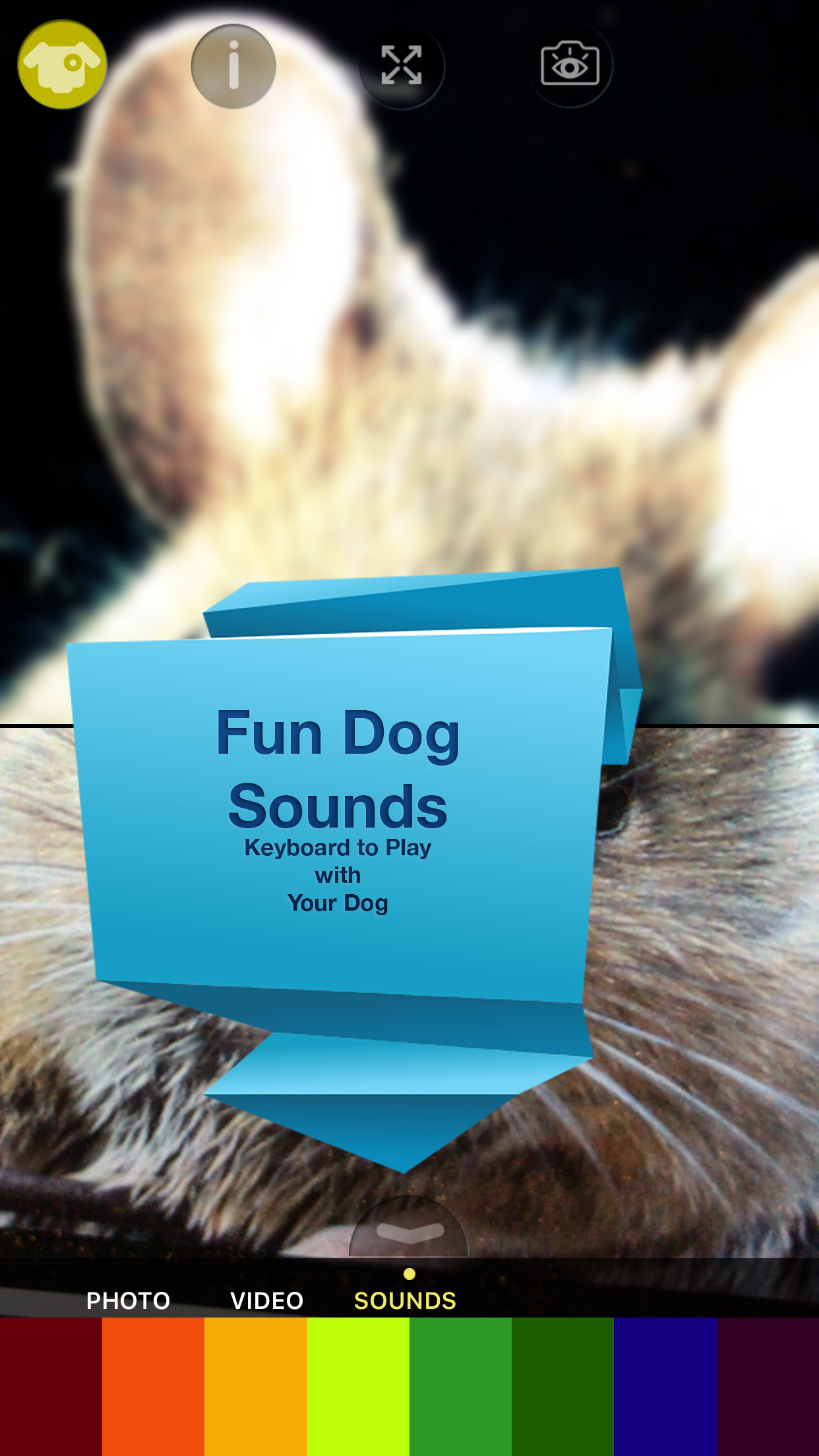 Dog Vision HD