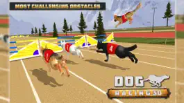 Game screenshot Dog Racing  3D hack