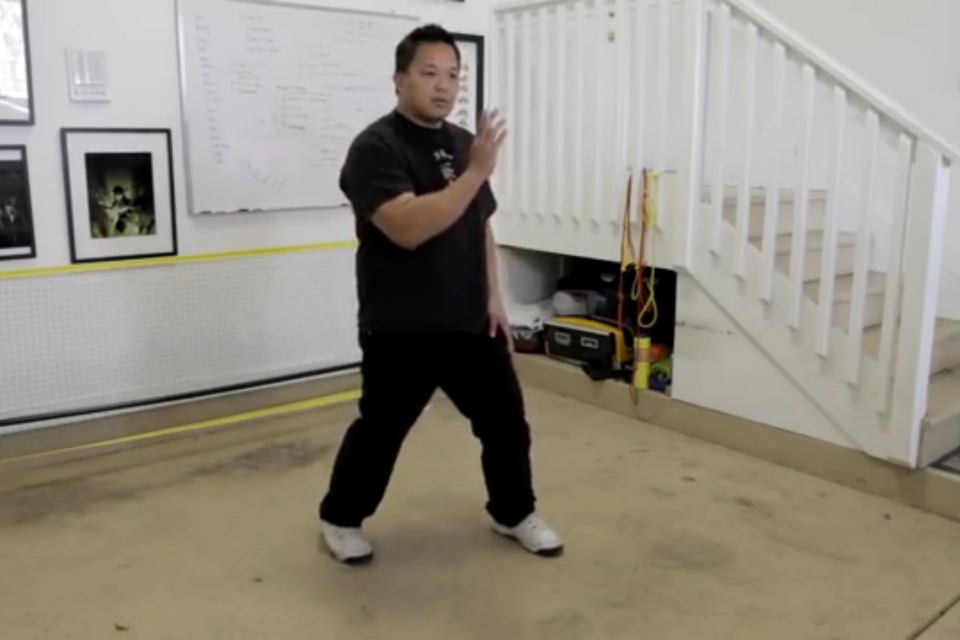 Wing Chun Master Class screenshot 4