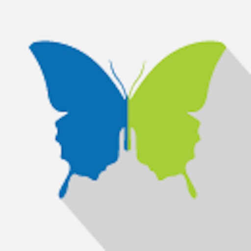 Lupie Diary - International Version