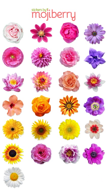 Flower Bouquet Stickers by Mojiberry