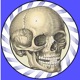 Speed Bones Lite (Quiz) app icon - Medical app for iPhone