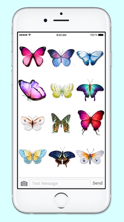 Beautiful Spring & Summer Butterflies Sticker Pack