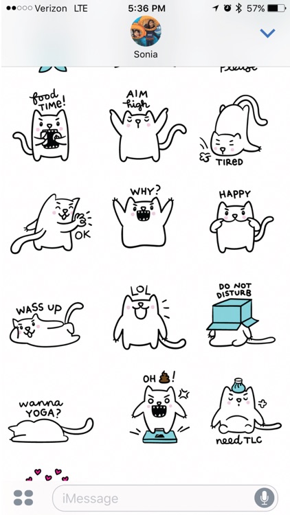 Meowtastic Life - Animated Cat Stickers screenshot-4