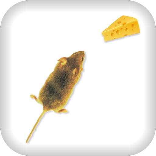 Made Mice for Cheese