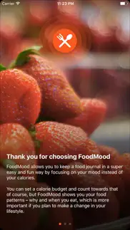 food mood iphone screenshot 1