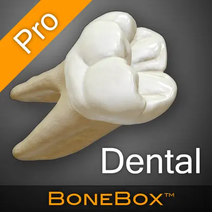BoneBox™ - Dental Pro Читы