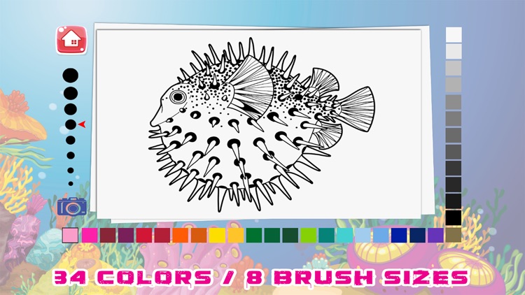 Ocean & Sea Animal Coloring Book Painting Drawing screenshot-4