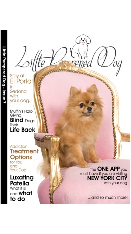 Little Pampered Dog Magazine