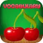 Fruit Vocabulary Daily English Practice