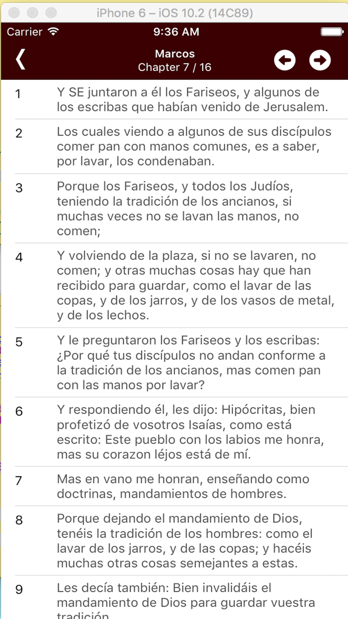 BIBLIA REINA VALERA RV