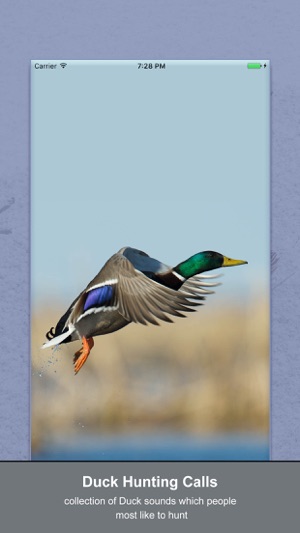 Duck Hunting Calls New(圖1)-速報App