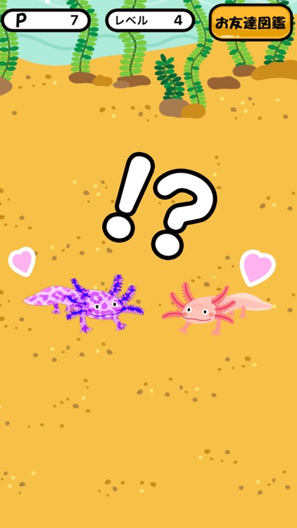 ウーパールーパーあつめ