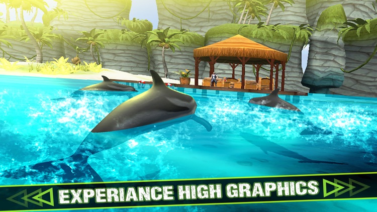 Shark Hunting - 2017