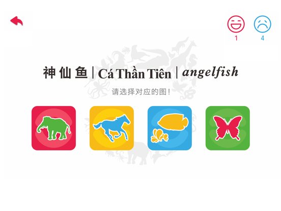 Amazing ZooⅡ-3D-AR Animal Card iPad screenshot 5 - Education app