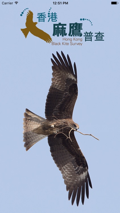 Hong Kong Black Kite Survey