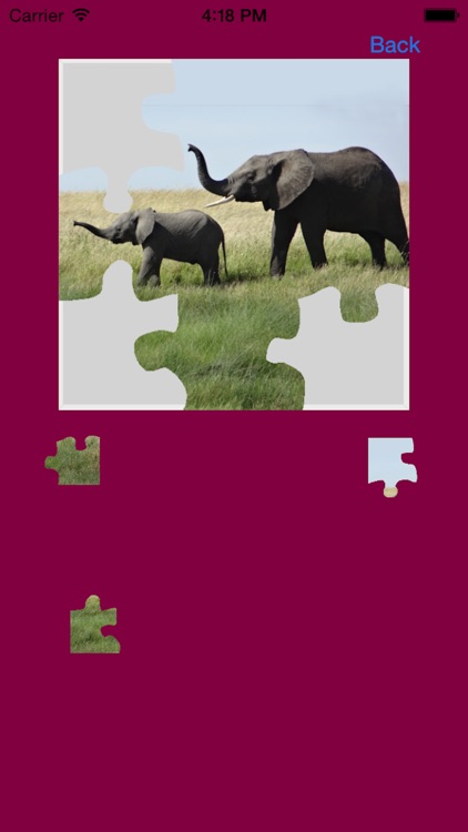 Elephants Jigsaw Puzzles with Photo Puzzle Maker screenshot-3