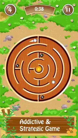 Game screenshot Classic Maze Ball mod apk
