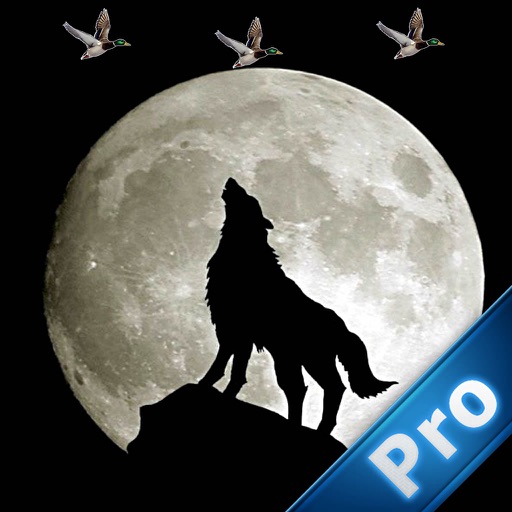 A Wolf Hunt In The Light Of The Moon PRO