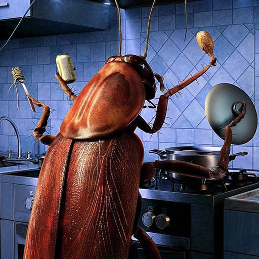 Cockroaches in the kitchen icon