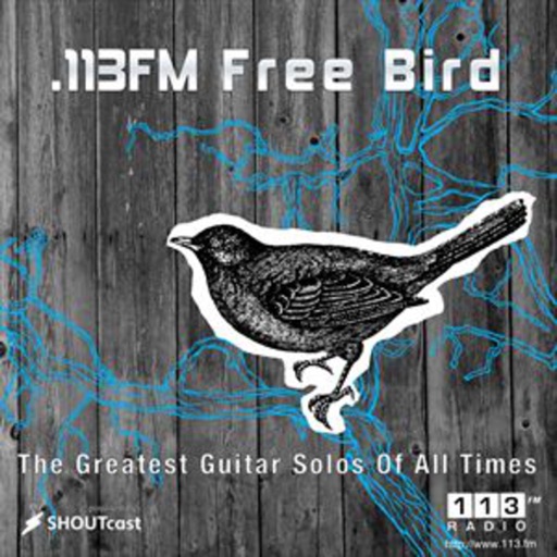 .113FM Free Bird