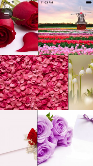 Flower Wallpapers - Best Flower Wallpape