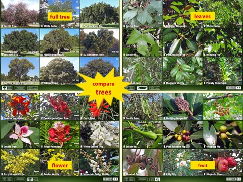 Tree Id Australia - Sydney's Urban Trees & Shrubs - náhled