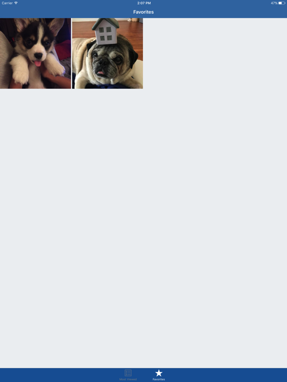 Screenshot #6 pour Dog Wallpapers - Cute Puppies Themes For Mobile