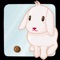 A lovely bunny eat food and try to pooh to target positions