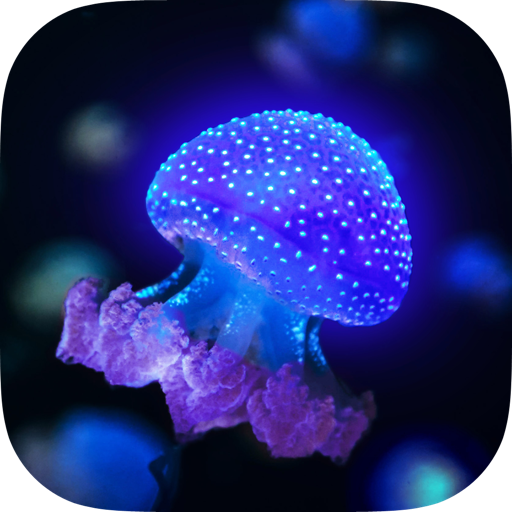 Live Gallery app icon