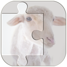 Activities of Real Animal Puzzle Jigsaw