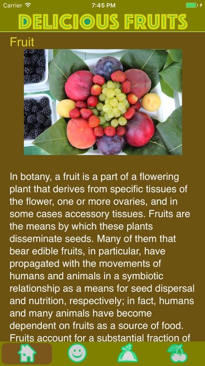 Delicious Fruits Game