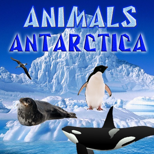 Animals Antarctica Icon