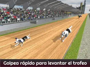 Screenshot 2 Sprint de 100 metros carreras de perros: perros de iphone
