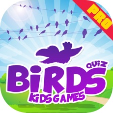 Activities of Bird Quiz Kids Game Pro